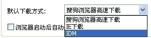 Internet Download Manager (IDM) 设置技巧