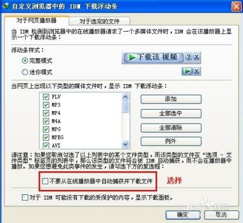 Internet Download Manager (IDM) 设置技巧