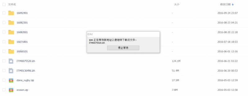 Internet Download Manager (IDM)下载利器的使用技巧