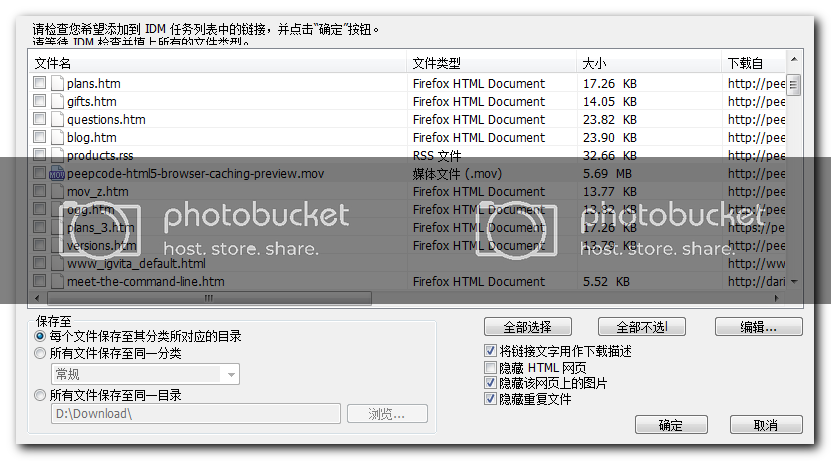 IDM(Internet Download Manager) 下载